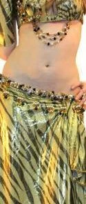 Bellydance Costumes Diamond Costume