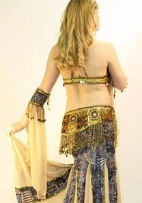 Bellydance Two-Piece Costume