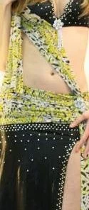Bellydance Costumes Sache Mark Down 19401