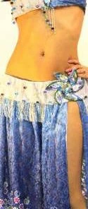 Bellydance Nabila Costume