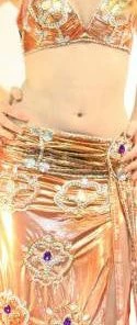Bellydance Crystal Collection Costumes