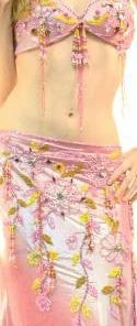 Bellydance Egyptian Bloom Collection Costume