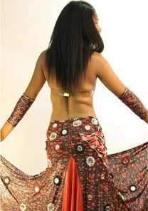 Bellydance Diamond Costume Costumes