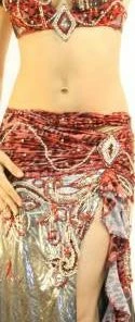 Bellydance Diamond Costume Costumes