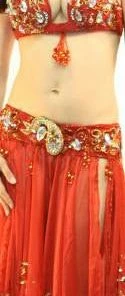 Bellydance Diamond Costume