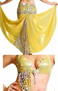 Bellydance Costumes Sache Flash