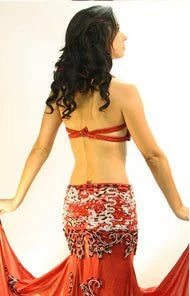 Bellydance Costumes Diamond Costume