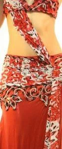 Bellydance Costumes Diamond Costume