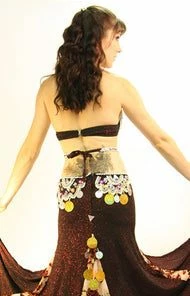 Bellydance Diamond Costume