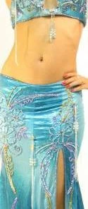 Bellydance Egyptian Bloom Collection Costume Costumes