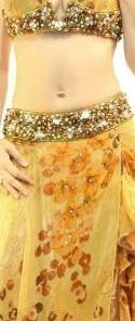 Bellydance Costumes Floral Dream
