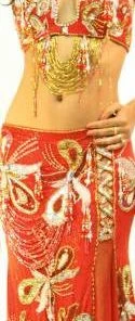 Bellydance Costumes Two-Piece Costume