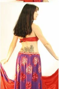 Bellydance Diamond Costume