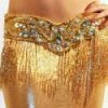 Bellydance Lycra Skirt Medium