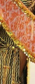 Bellydance Hip Scarf Hip Scarves