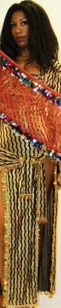 Bellydance Hip Scarf 3 Bellydance Hip Scarf