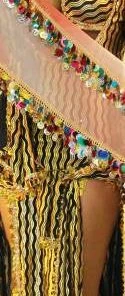 Bellydance Hip Scarf Hip Scarves