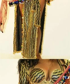 Bellydance Hip Scarves Hip Scarf