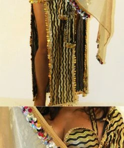 Bellydance Hip Scarf Hip Scarves