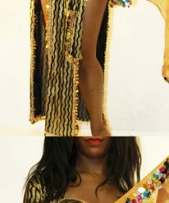 Bellydance Hip Scarves Hip Scarf