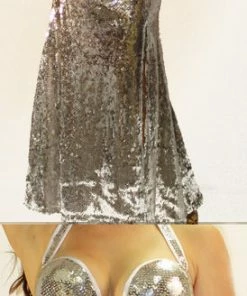 Bellydance Two Piece Costume