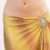 Bellydance Costumes Vintage Hollywood