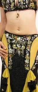 Bellydance Costumes Diamond Costume