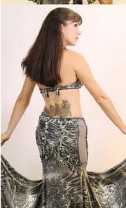 Bellydance Diamond Costume Costumes
