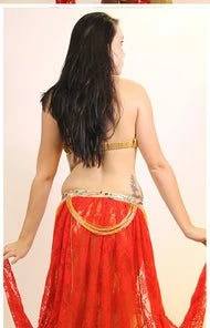 Bellydance Costumes Diamond Costume Clearance