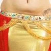 Bellydance Costumes Diamond Costume Clearance