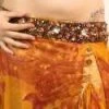 Bellydance Costumes Floral Dream