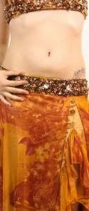 Bellydance Costumes Floral Dream