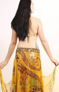 Bellydance Floral Dream Costumes