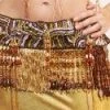 Bellydance Lili Bra And Belt Set Bra&Belts 1 Bellydance Lili Bra And Belt Set Bra&Belts