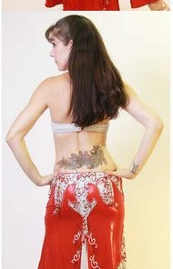 Bellydance Diamond Costume Costumes