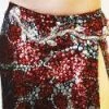 Bellydance Two-Piece Costume