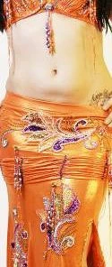 Bellydance Egyptian Bloom Costume Costumes