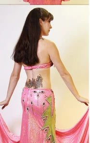 Bellydance Costumes Diamond Costume