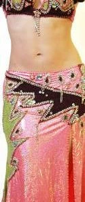 Bellydance Costumes Diamond Costume