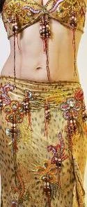 Bellydance Egyptian Bloom Collection Costume Costumes