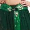 Bellydance Lexi Pants Costume