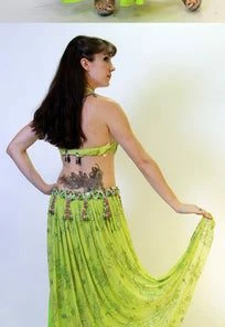 Bellydance Two-Piece Costume Costumes