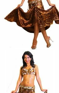 Bellydance Costumes Two Piece Costume