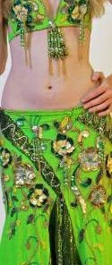 Bellydance Diamond Costume