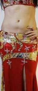 Bellydance Costumes Diamond Costume