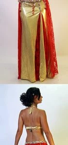 Bellydance Diamond Costume Costumes