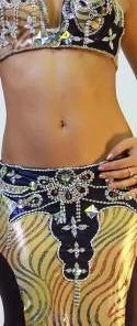 Bellydance Costumes Diamond Costume