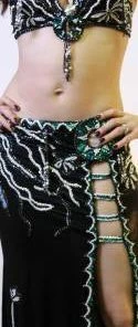 Bellydance Costumes Diamond Costume