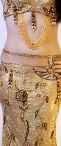 Bellydance Egyptian Bloom Costume