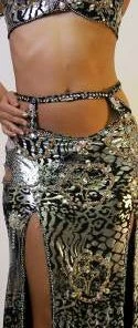 Bellydance Costumes Nile Waves